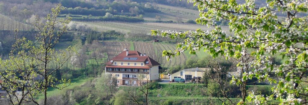Pension Rudi - Weingut Kellner Hotel Pulkau Exterior photo